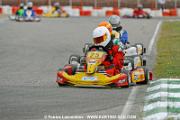_DSC4367 copie